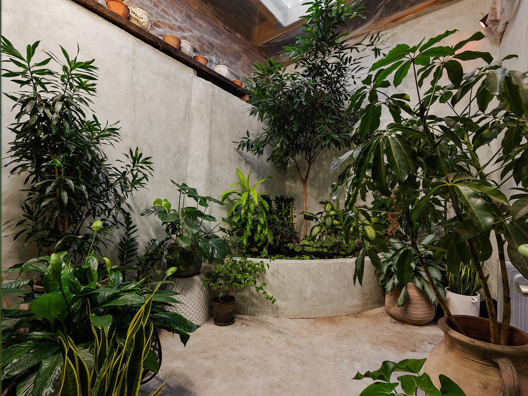 Listening Room Rental